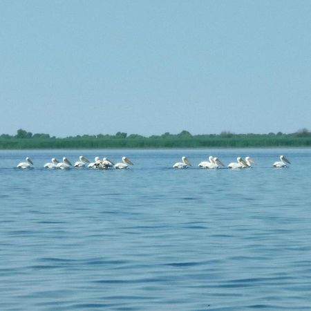 Gorgova Delta Village Екстериор снимка