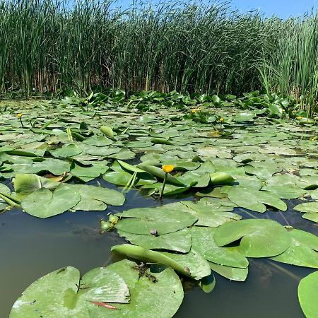 Gorgova Delta Village Екстериор снимка