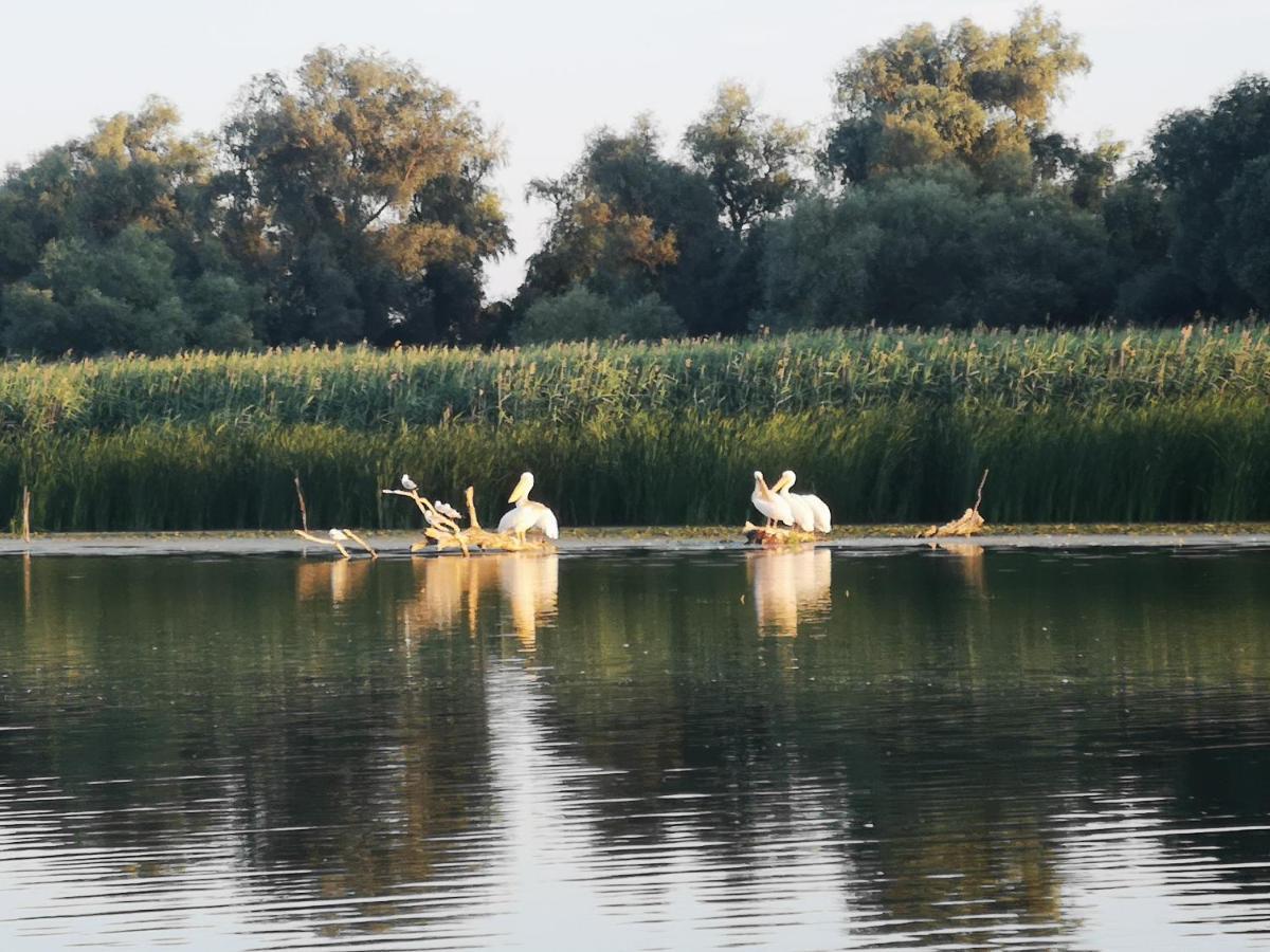 Gorgova Delta Village Екстериор снимка