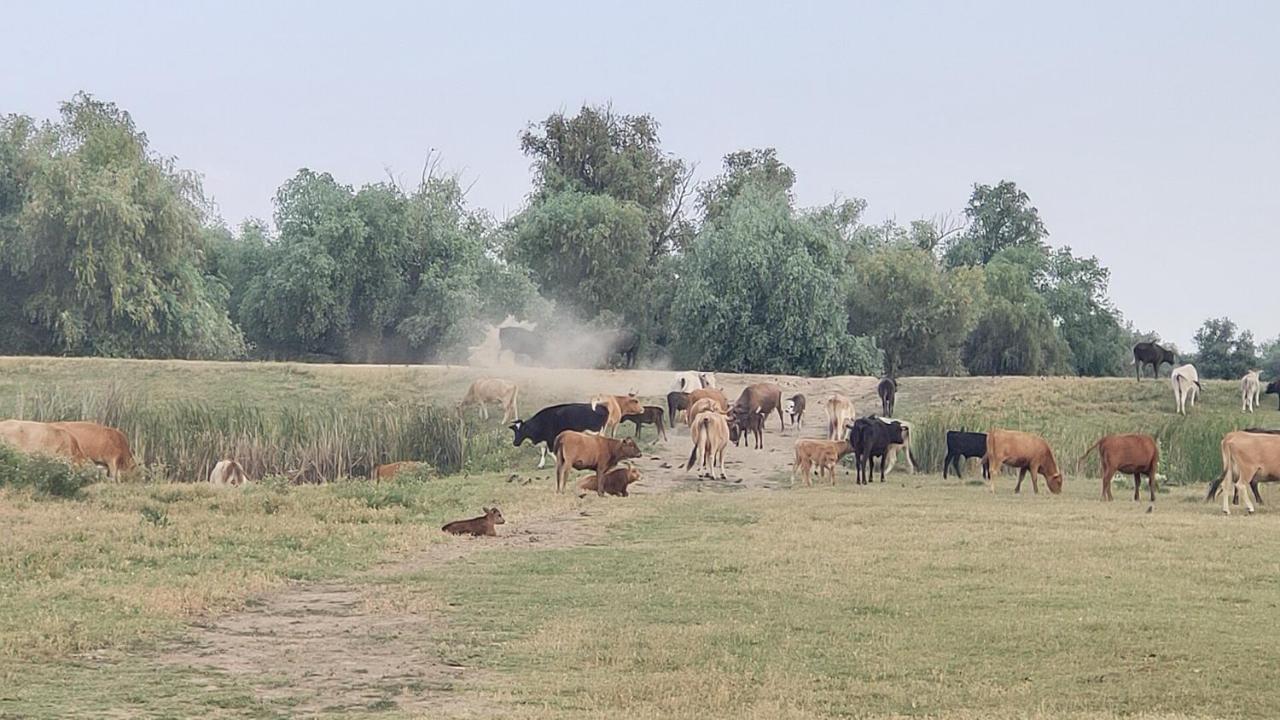 Gorgova Delta Village Екстериор снимка