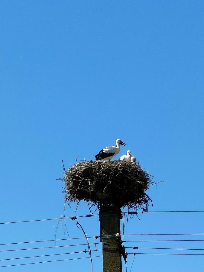 Gorgova Delta Village Екстериор снимка