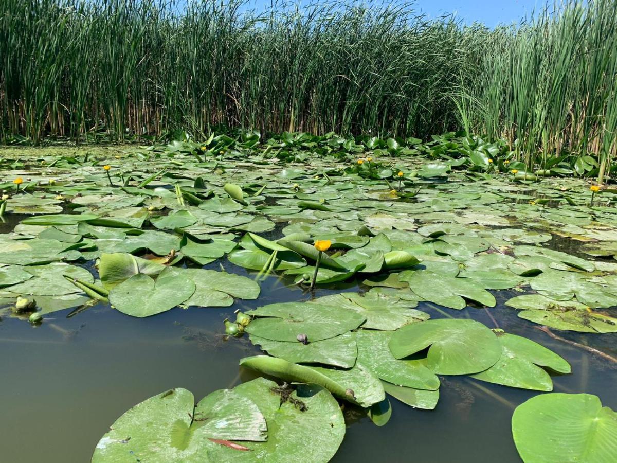 Gorgova Delta Village Екстериор снимка